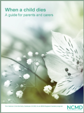 Screenshot 2025-09-12 152021